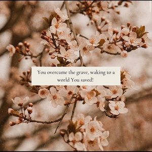 Meet your Posher, Elise